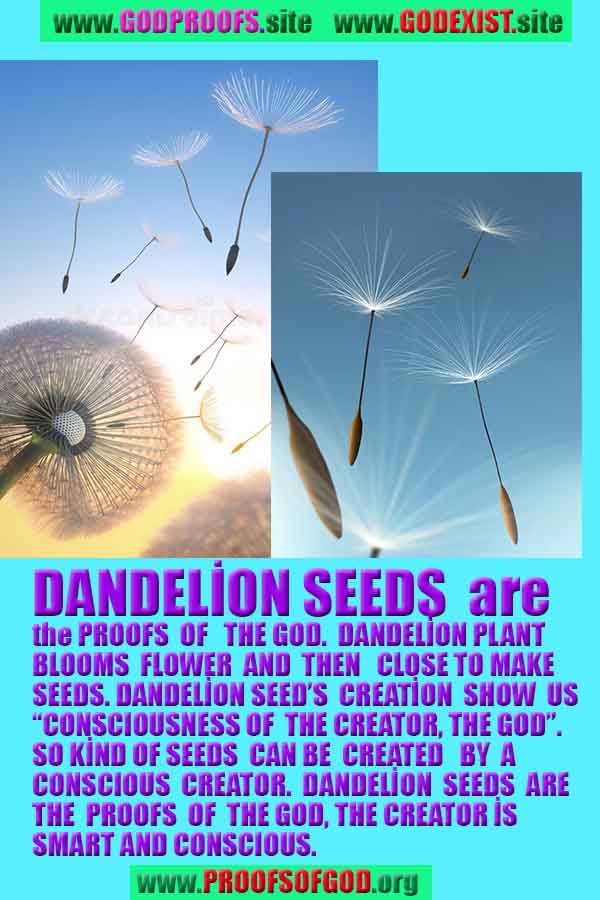 how to find god, what are proofs of god? god exists, god is real