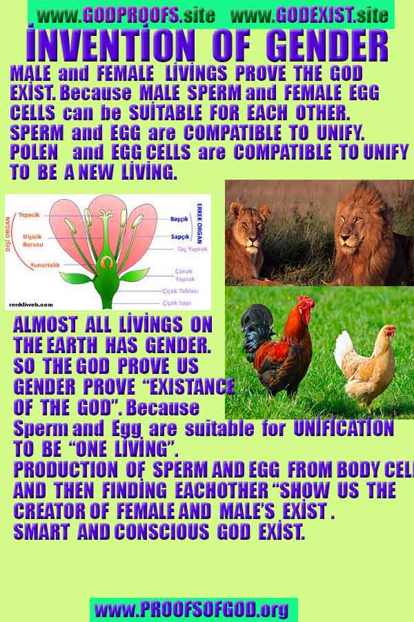 how to find god, what are proofs of god? god exists here proofs