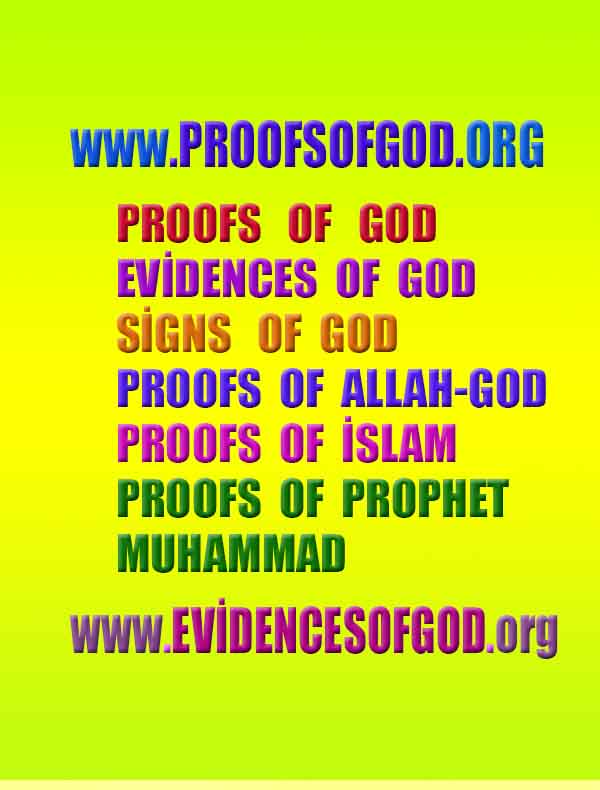 how to find god, what are proofs of god? god exists proofs