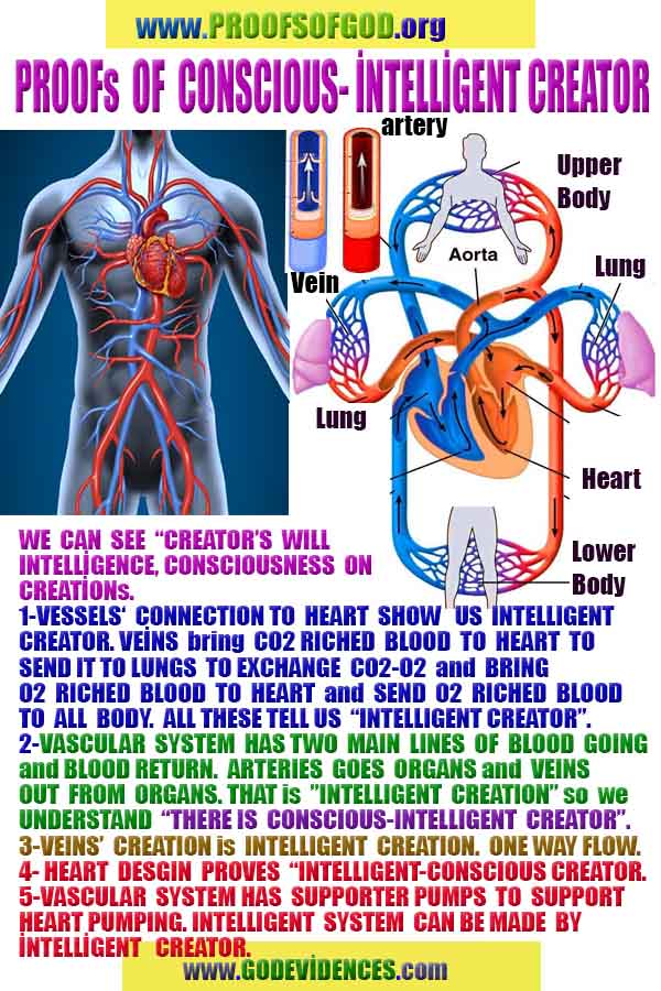 how to find god, what are proofs of god? god exists