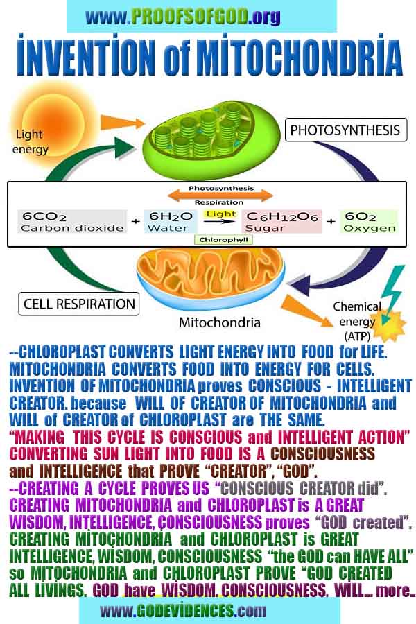 how to find god, what are proofs of god? god exists here proofs