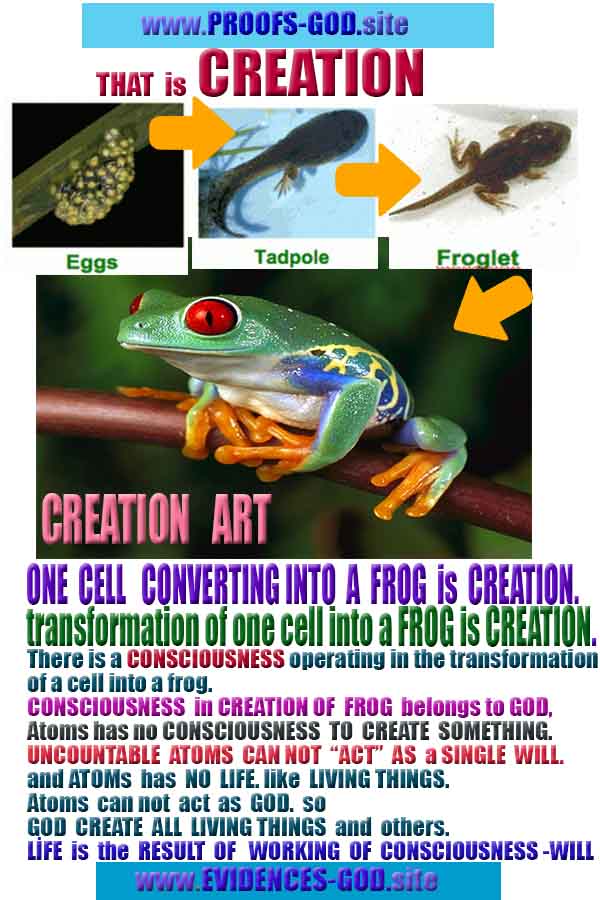 how to find god, what are proofs of god? god exists