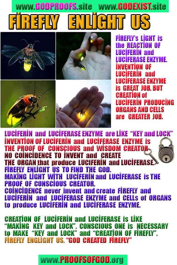 what are the evidences of God?