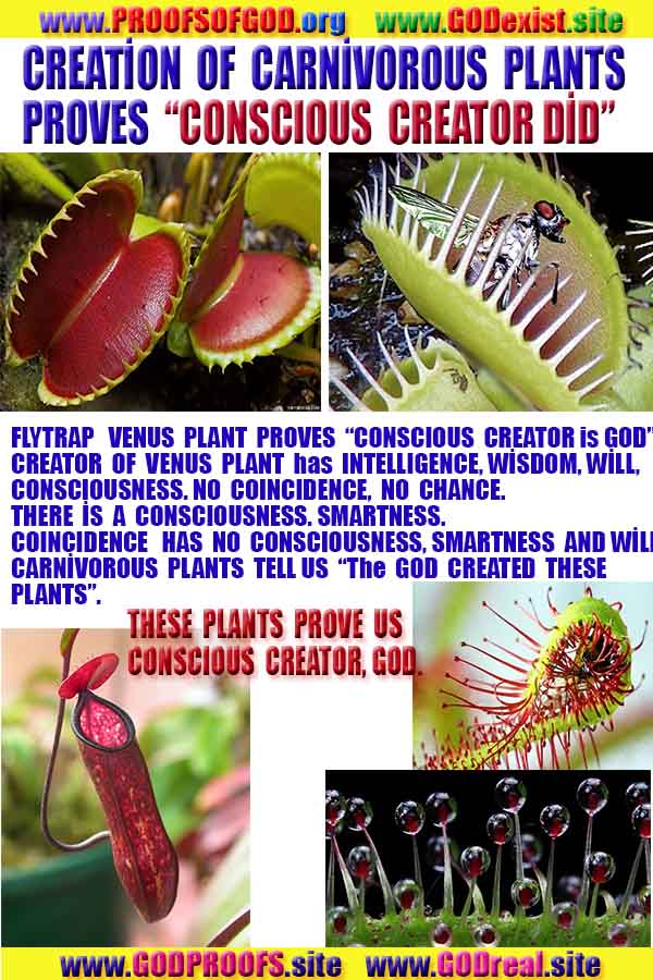 how to find god, what are proofs of god? god exists