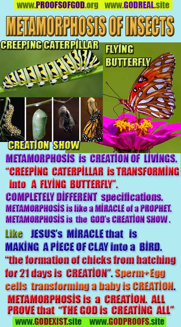 how to find god, what are proofs of god? god exists