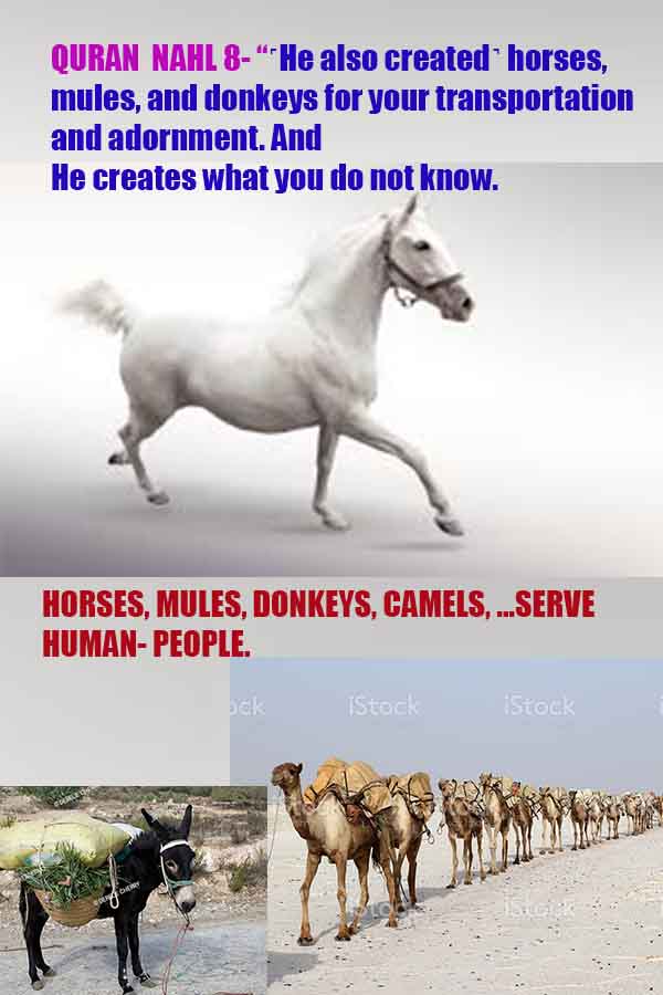 how to find god, what are proofs of god? god exists here proofs