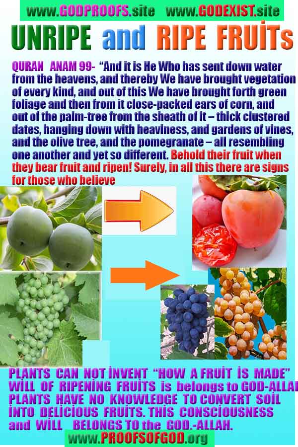 how to find god, what are proofs of god? god exists